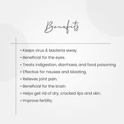 Navel Drops 15ml (Pack of 2 Bottle) - myvedobiindia